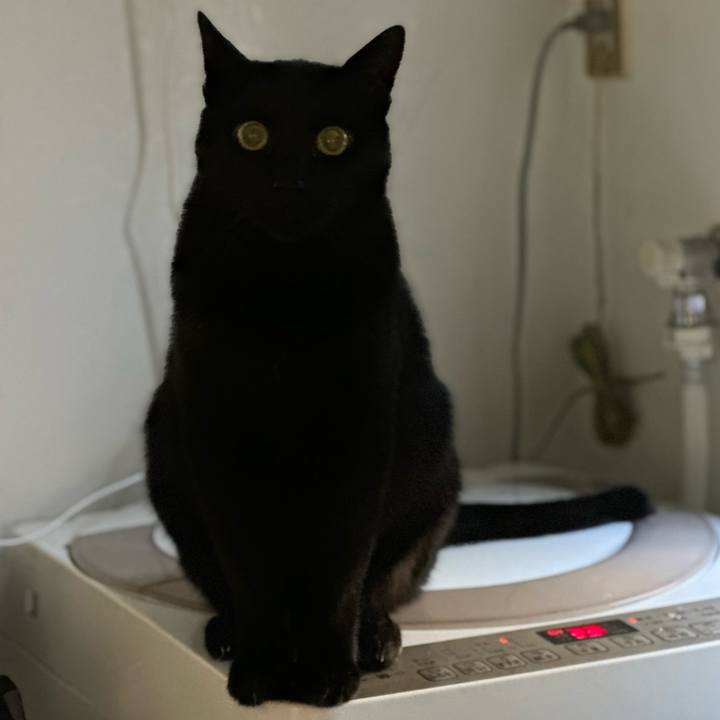 C27e392c 1576 49ae bb2f 1cb262cb5133 1666147508972