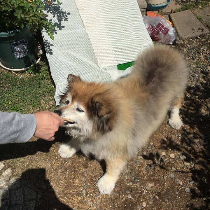 C27e437a 33ca 4609 8d2b 318bd3cc0c9f 1566762799898