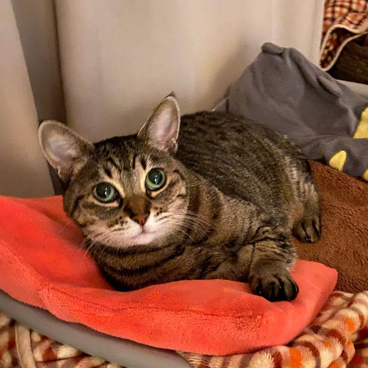 C27e66f5 dafa 4303 859b 862e5e7c9338 1763912498522