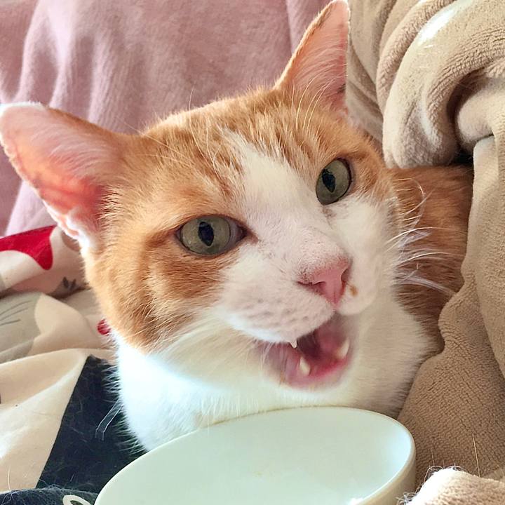 C27e91f3 bcf5 4c5f ba43 560ac46b2ec7 1576987003633