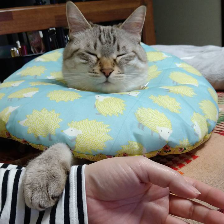 C27e9500 3ba8 42d2 9c47 a932aa188aaf 1665848081627