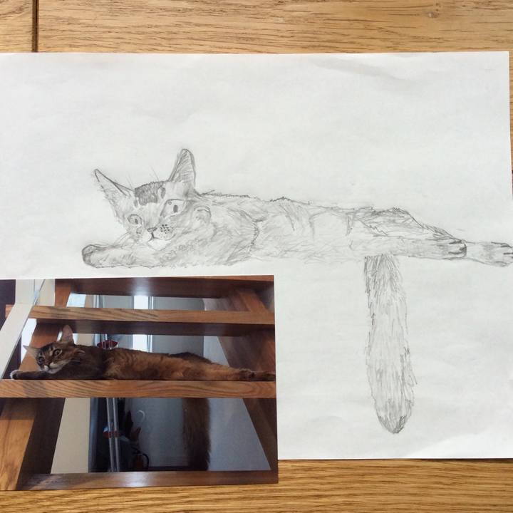 C27edc19 e586 42d8 87d2 05fd10e326de 1569633467212