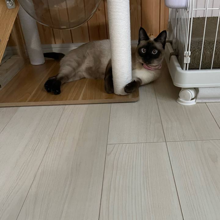 C27ef038 aacc 4a4a a57a 19fcc9e2b16e 1719344540325