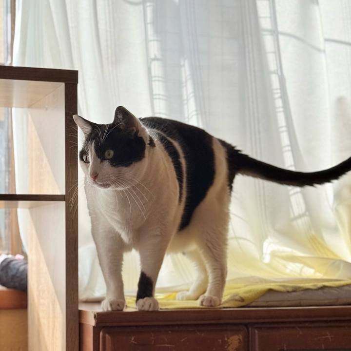 C27ef62e 1b05 42b6 97da 1a6bdc274951 1741746947254