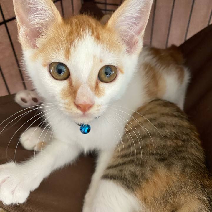 C27f195d d36b 4c7a 8e47 7c562375ab6b 1751696277868