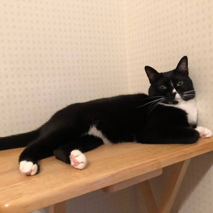 C27f2d5d b4c0 404d b3b0 b3b396c3ea52 1563918039247