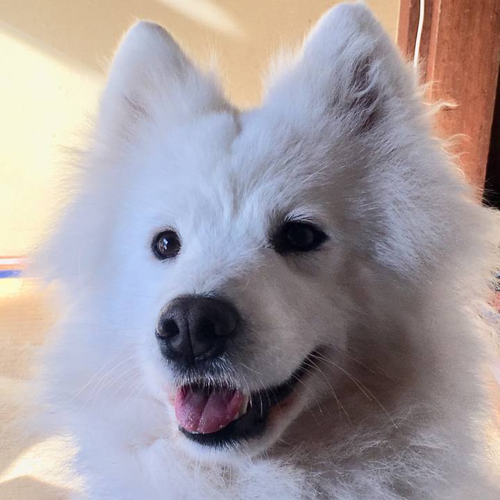 C27f36a4 fe6c 45db b806 b22a7a13a0ed 1547730766407