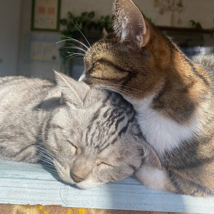 C27f8117 5b00 4fb5 8a2c 41e24ec77296 1672620141982