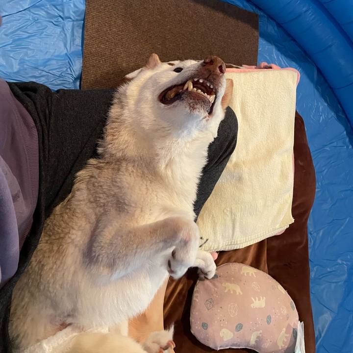 C27fcedb 5117 4f7a 90d1 44906799dbcd 1678344412370