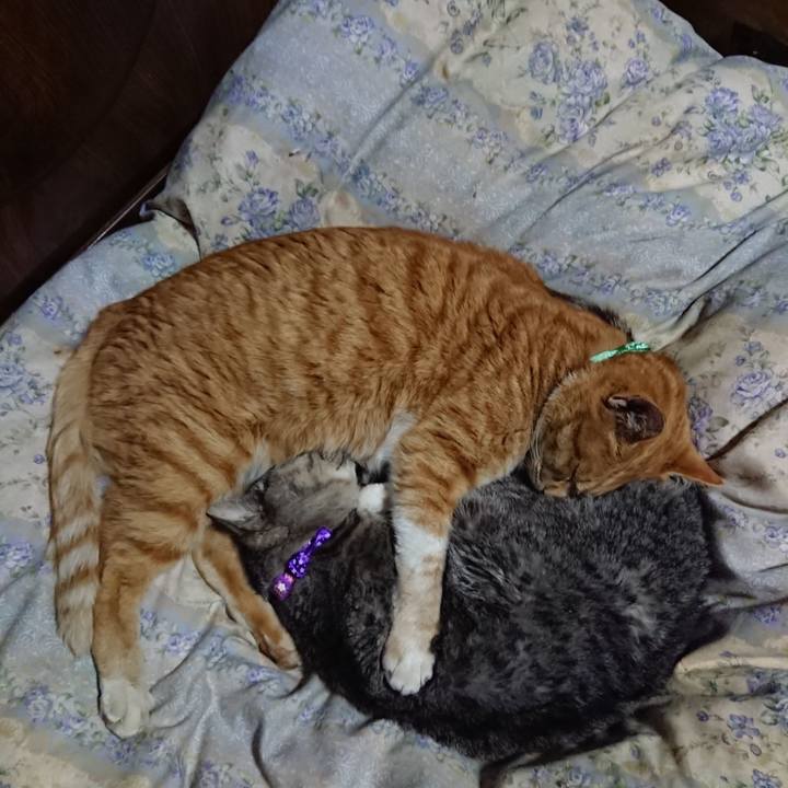 C27fe63a 35cd 483a b894 f2c14e441c3e 1579959540203