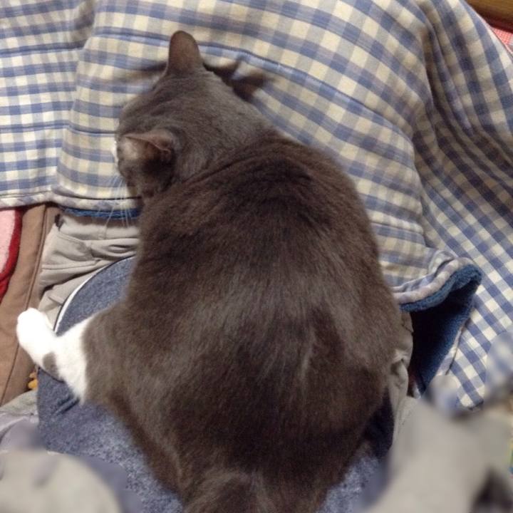 C27ff797 1d19 41c4 bd7e e62b7432b987 1523867480398