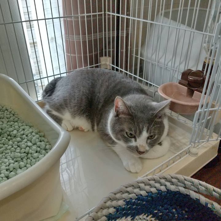 C2800bbf 5d9a 4e49 b4e2 ae7e2a93ed2f 1632636603186