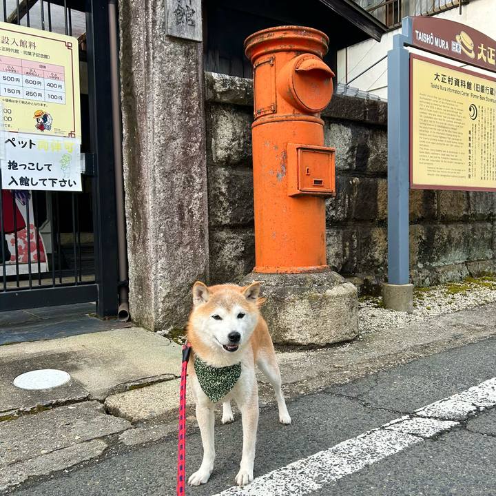 C2802a8e 516b 4f94 a9f5 86e116c885e1 1737456966723