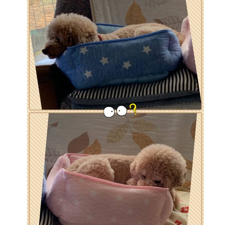 C28043f8 da28 4834 aa91 5beaa2b7965d 1568278084548