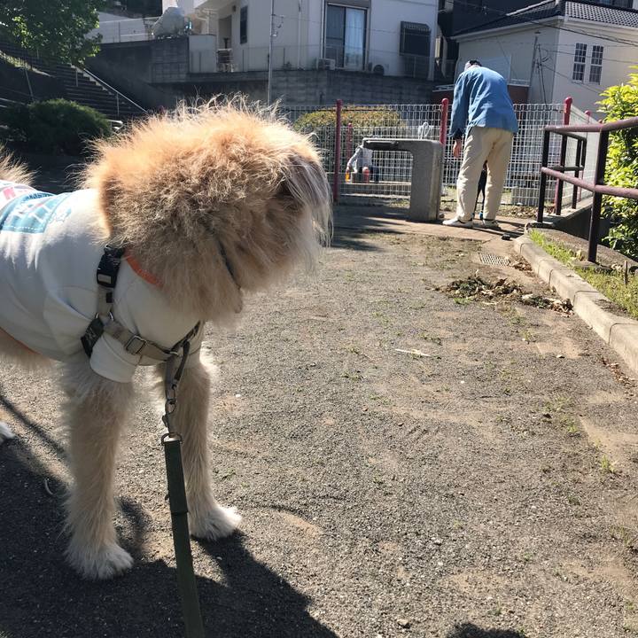 C2807294 b98e 474b 9e4b b9af511370da 1618031594653