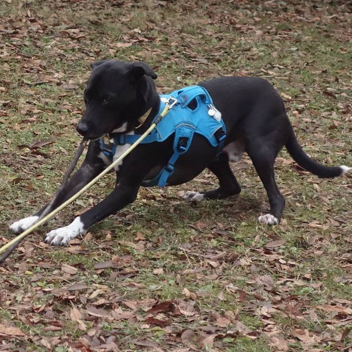 C280bd9b e074 445b 95fa 016b2bdbf487 1609893298423