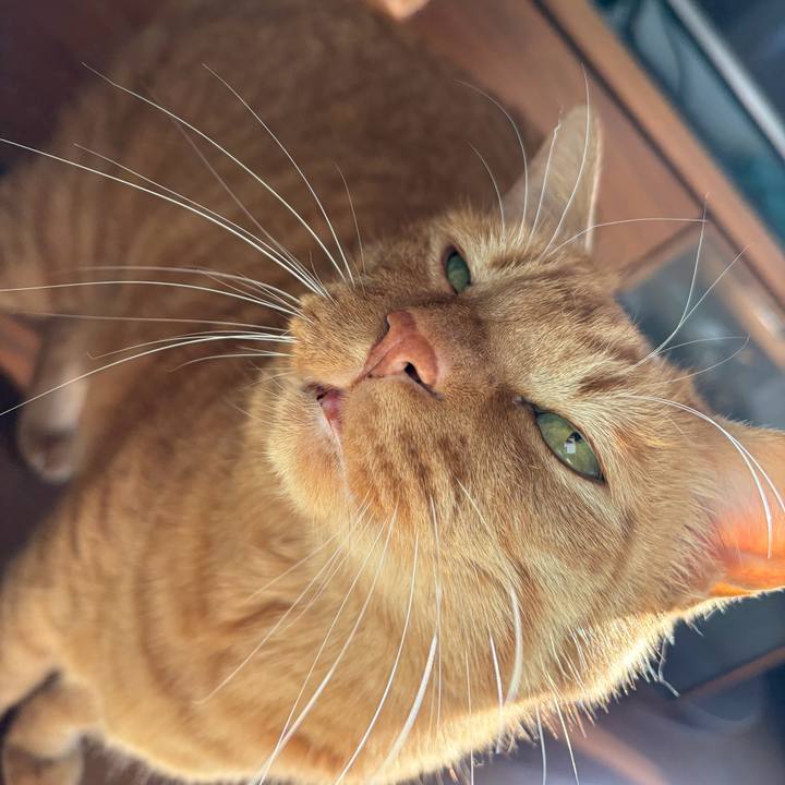 C280c118 3680 422f ae8f 348c0b4a39fb 1764467274247