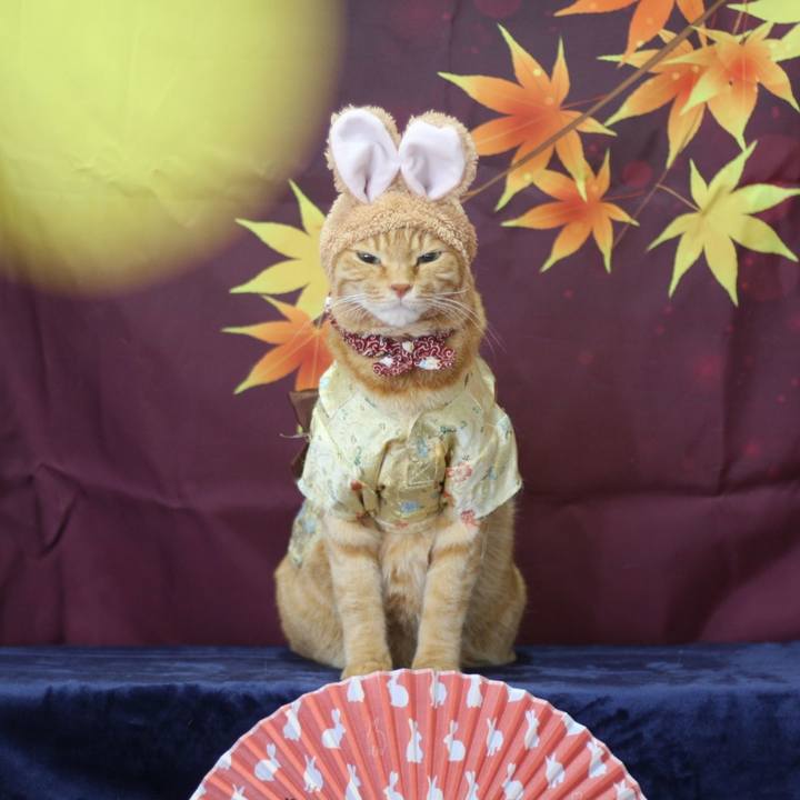 C280f5ba 1c85 4ba2 8d4d 288daa15fe93 1630467370054