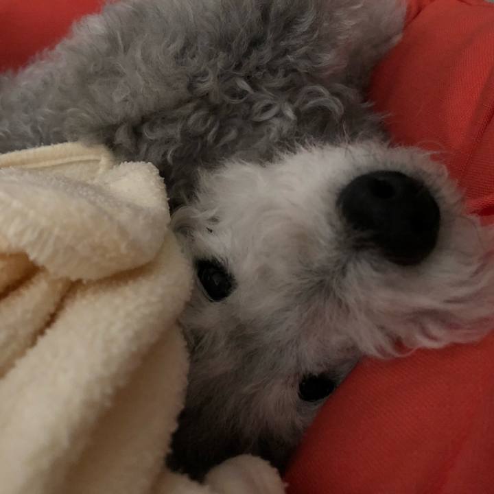 C2810e0c 659c 447f 8179 dabfb67221d9 1525410690187