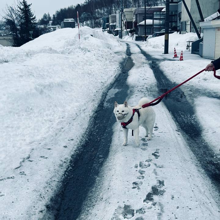 C281338e 0a7d 409e bd95 8fa47c175562 1708380550376