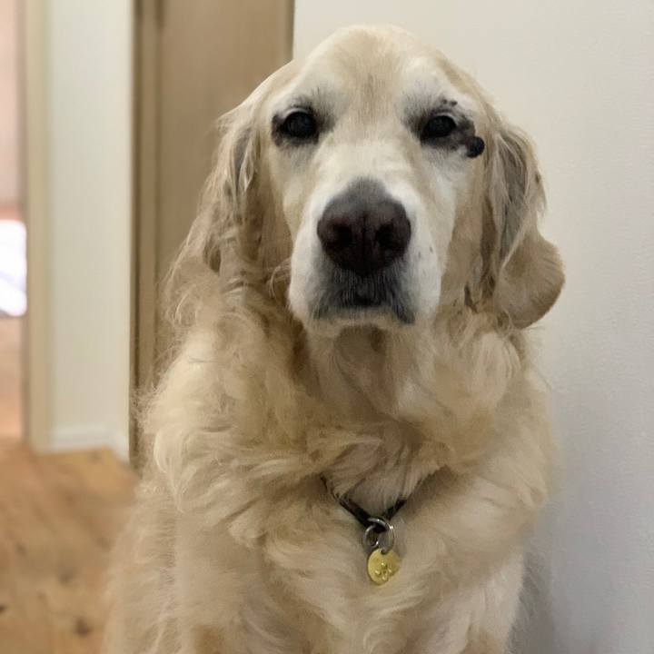 C28170fe 8da2 4ea9 8a95 cd00c233a6ce 1577838181198