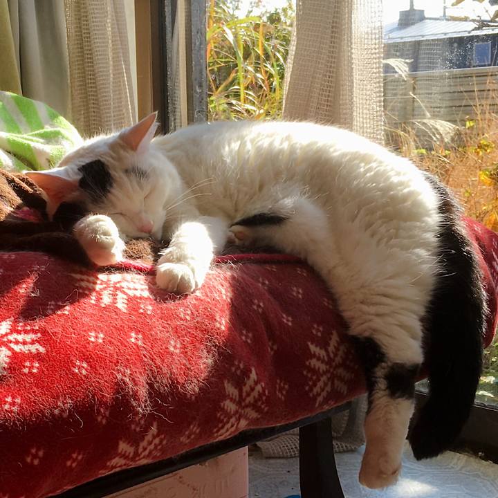 C2818eed 7b67 4236 b71c 211c9356700e 1605481190182