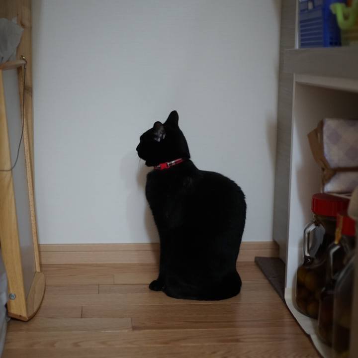 C2819475 623f 49cf 8454 aaec27078f4f 1530746746026