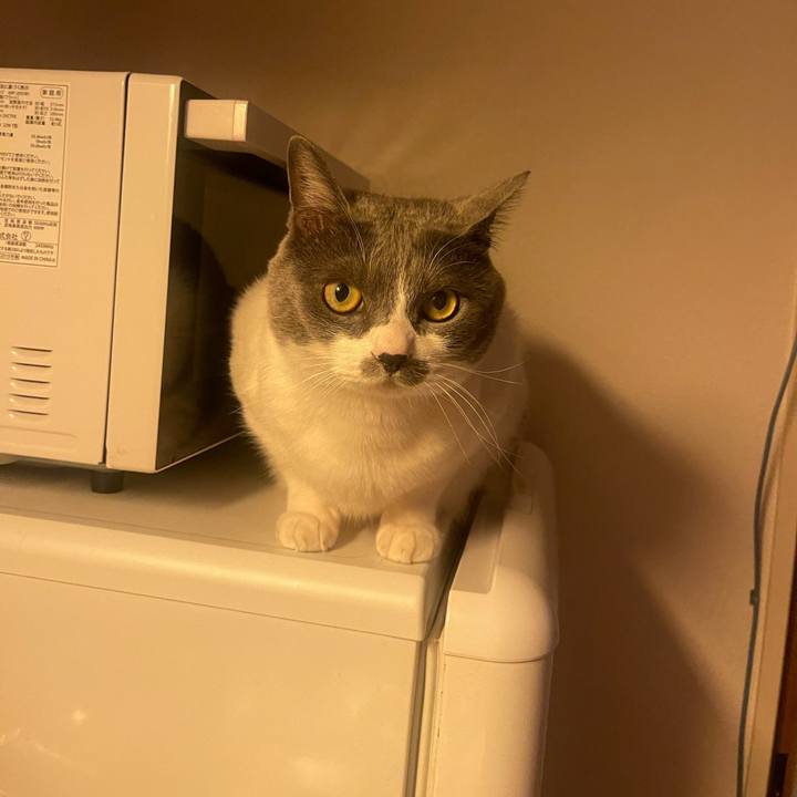 C281b6d3 81c2 4f1b a790 5565ad3cbdb0 1716283858710