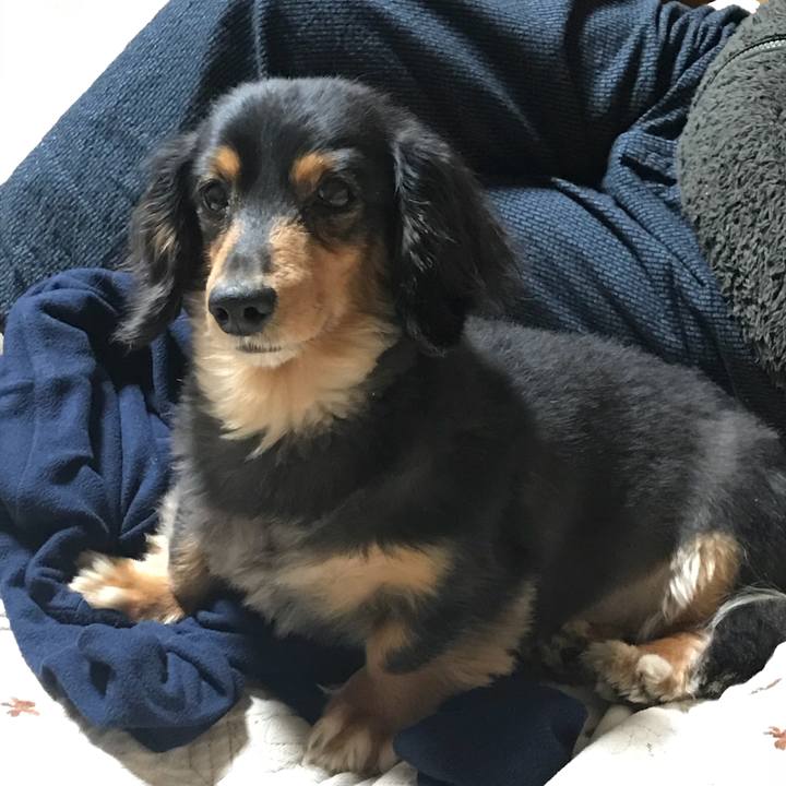 C281bc00 9f09 49bf bd99 0fb1e1525e83 1521669658561