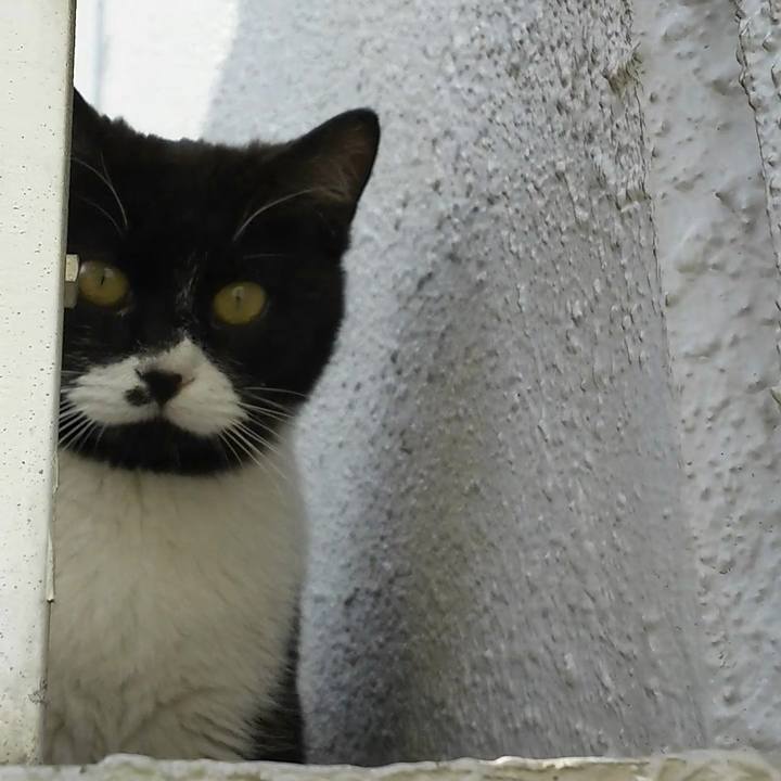 C281e075 b107 4700 9fe5 8dad17552665 1553061122962