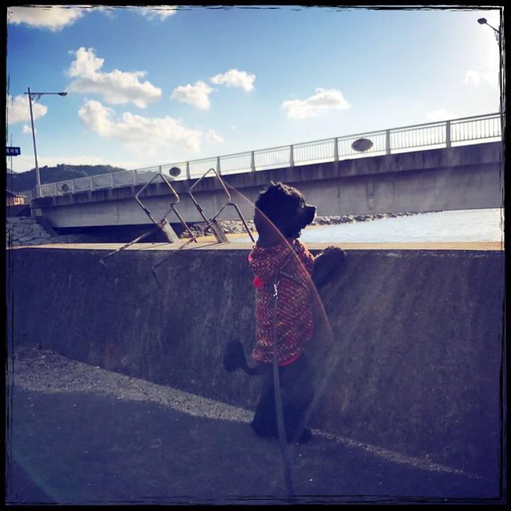 C281ee29 c447 4a74 a3e7 f0415f6daa4d 1517028831349