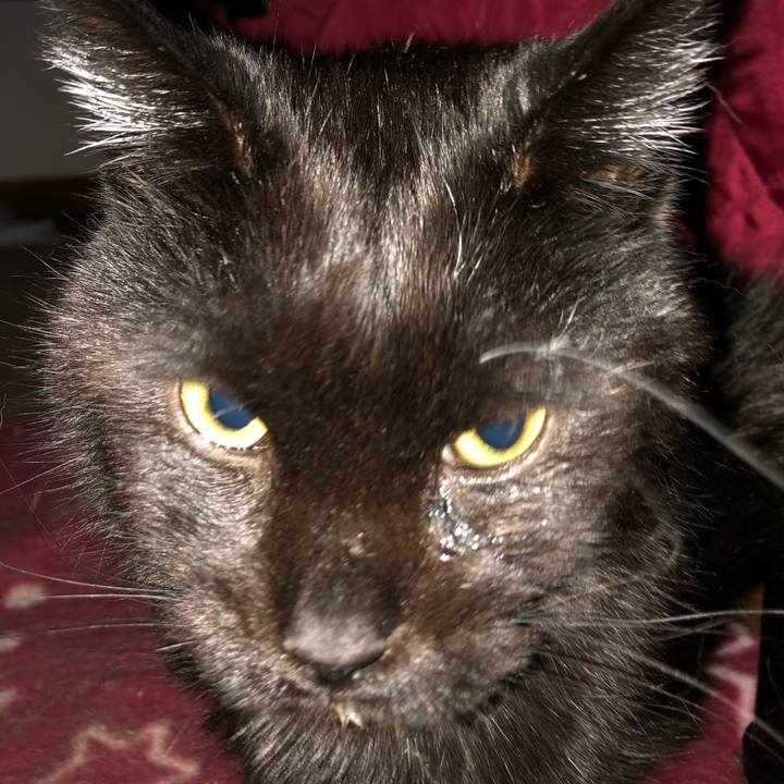 C2820a98 1509 4f0c 9a35 58d2319f11e2 1643666743814