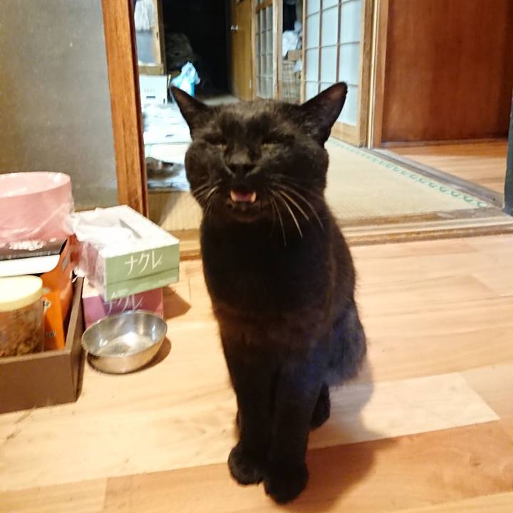 C2823788 4b9e 4162 9d49 b22ce731e5fb 1626695552789