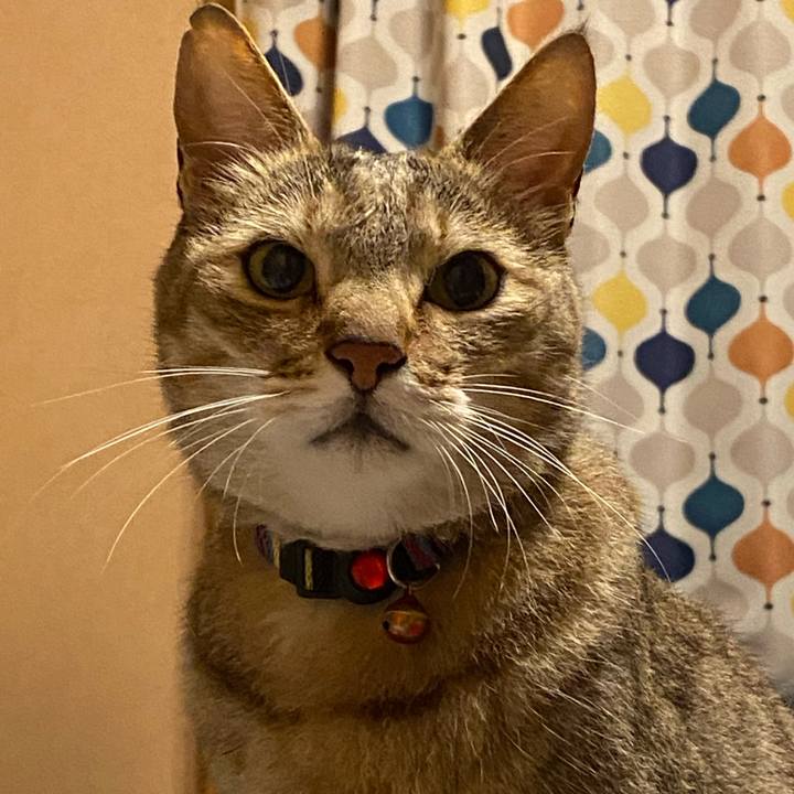 C2823817 7132 4a76 8eb4 43424545110a 1621425041228