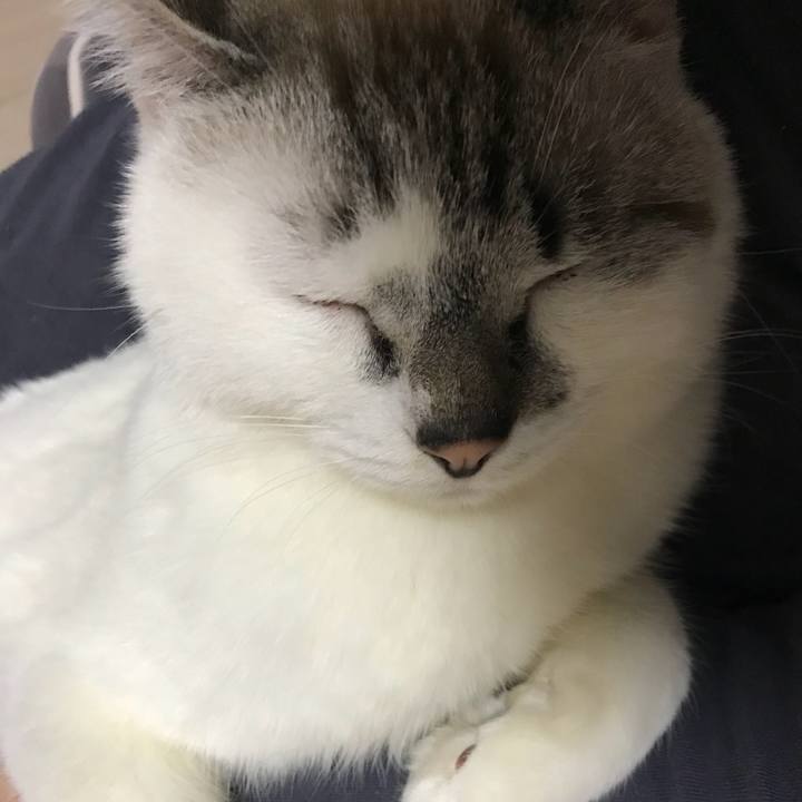 C2823d09 18a3 413e 8903 32f090c73b24 1516619365126