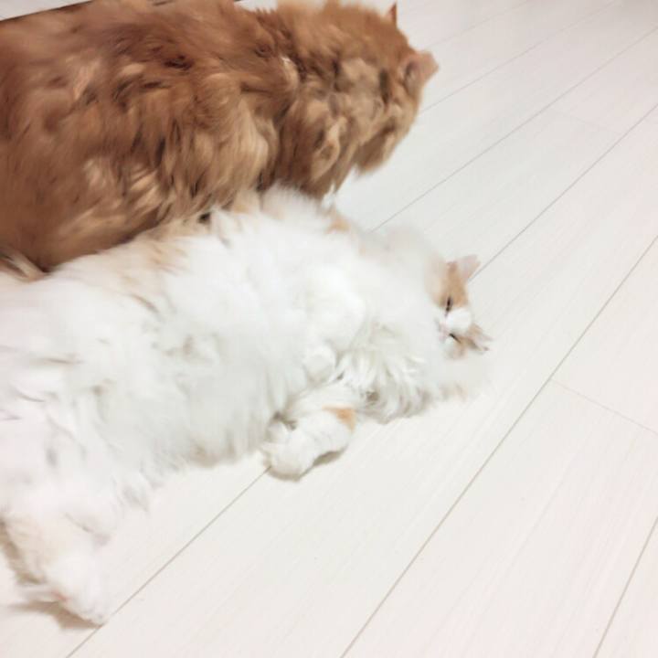 C28251ae 942b 45b9 83c3 18e68424292d 1510607789952