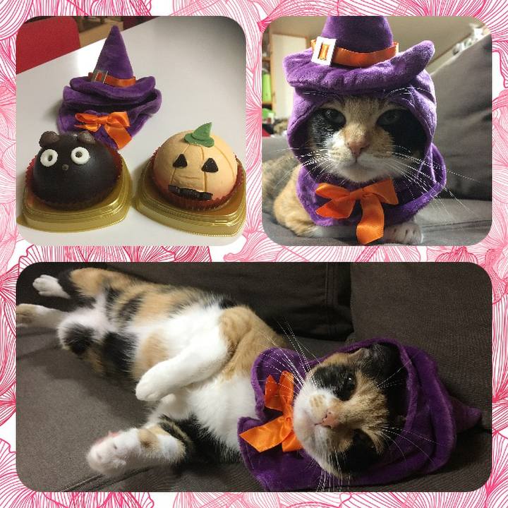 C2829d84 e734 46b7 8eb5 8e14965f1b55 1509457112631