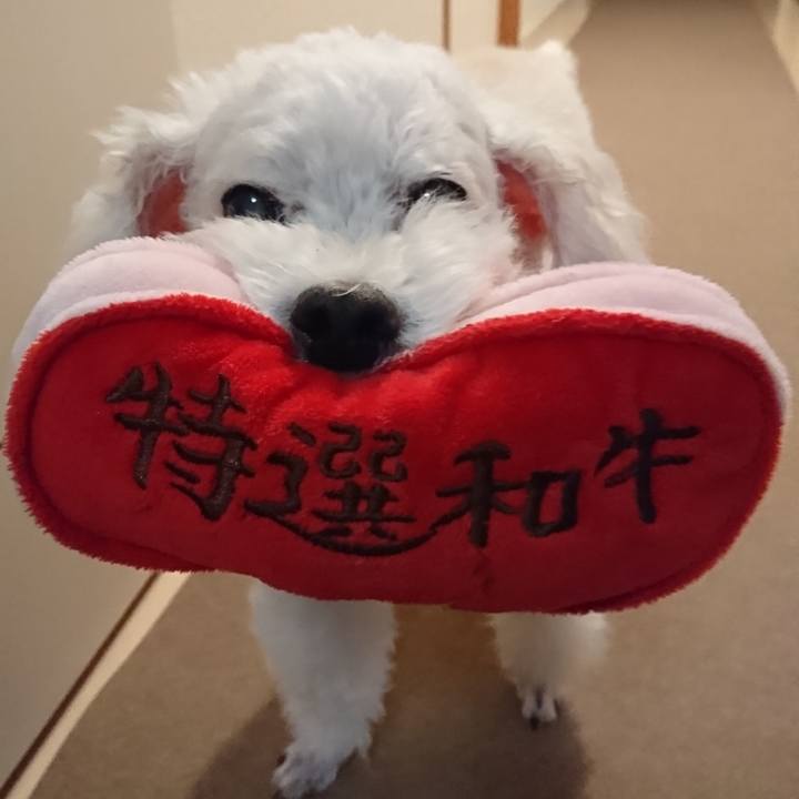 C2829ed7 647b 40d7 8523 15286de0600b 1603096812873