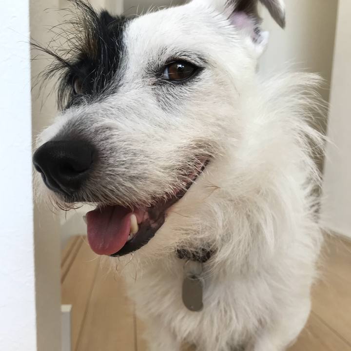 C282b20a abc8 4687 930c ae96dea9e8e6 1528084911893