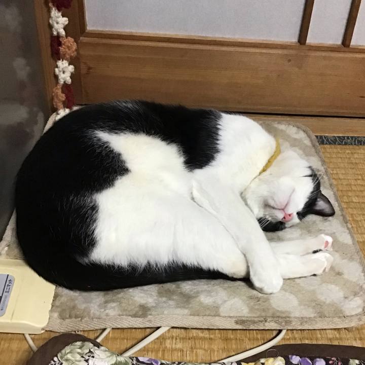 C282b605 1ac1 4937 97e1 2f64792f808a 1648979844511