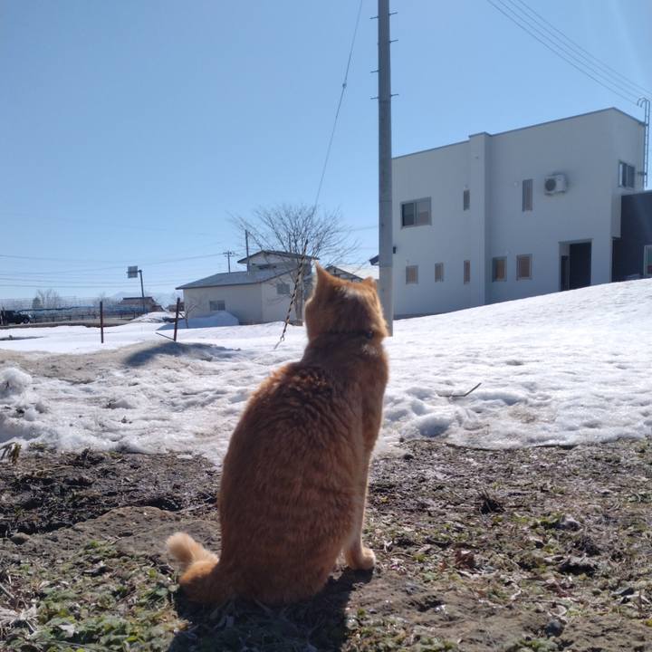 C282b81c 17a7 4ad7 96c2 fee0970fa50e 1677982650648