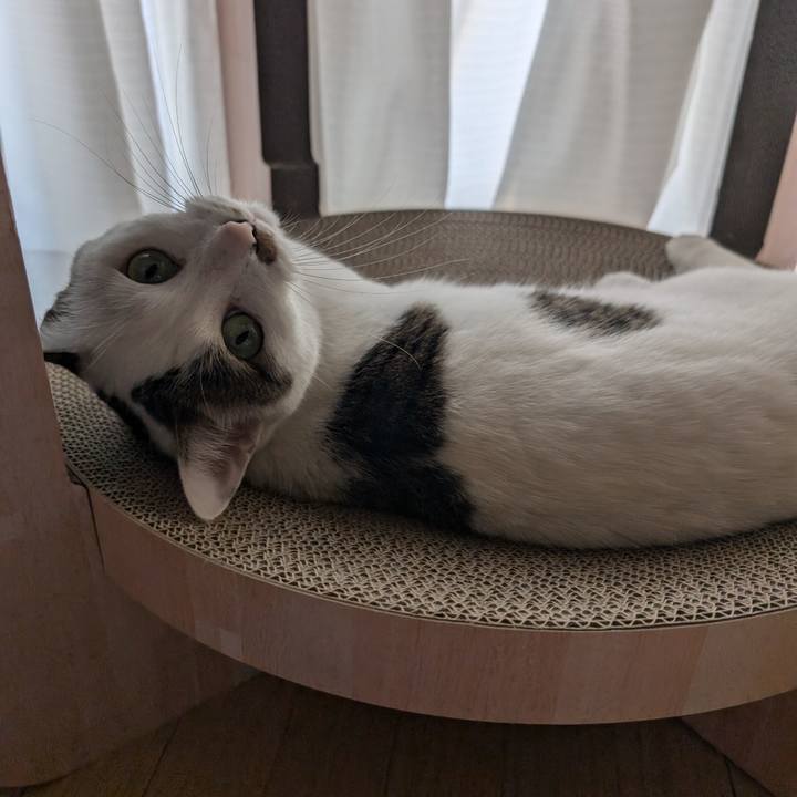 C282ccc6 3a73 4de3 b106 b1338086e9c2 1720567515777