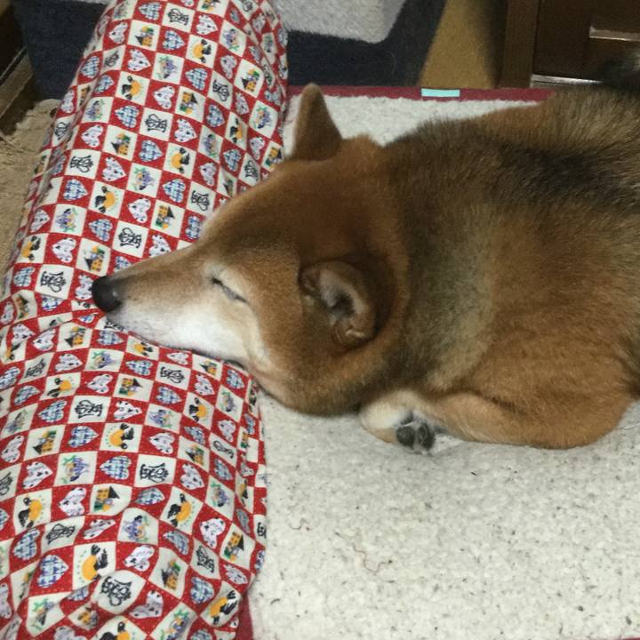 C283163f b727 4285 b860 f191146e7473 1581981128944