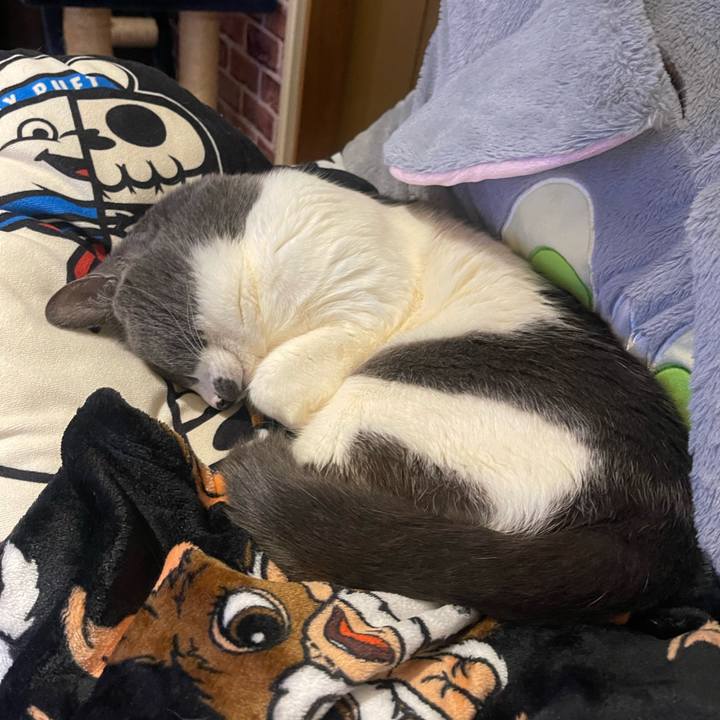 C2835efa 8b9a 4ce5 b97b 059fa8da03a3 1707390826127