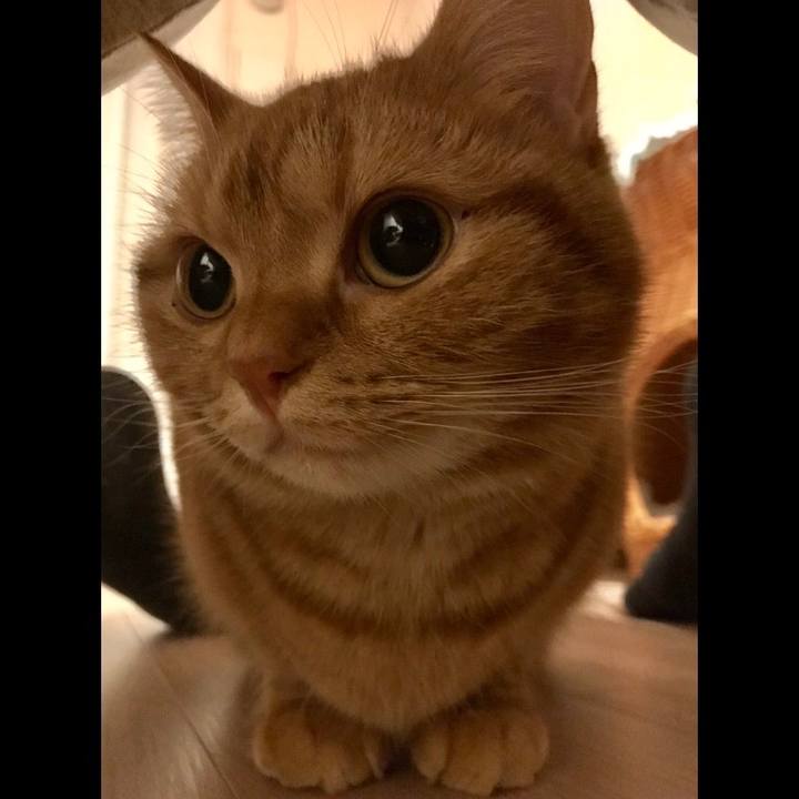 C28364c5 842e 478f b7c5 a76adc3c3164 1511270559151