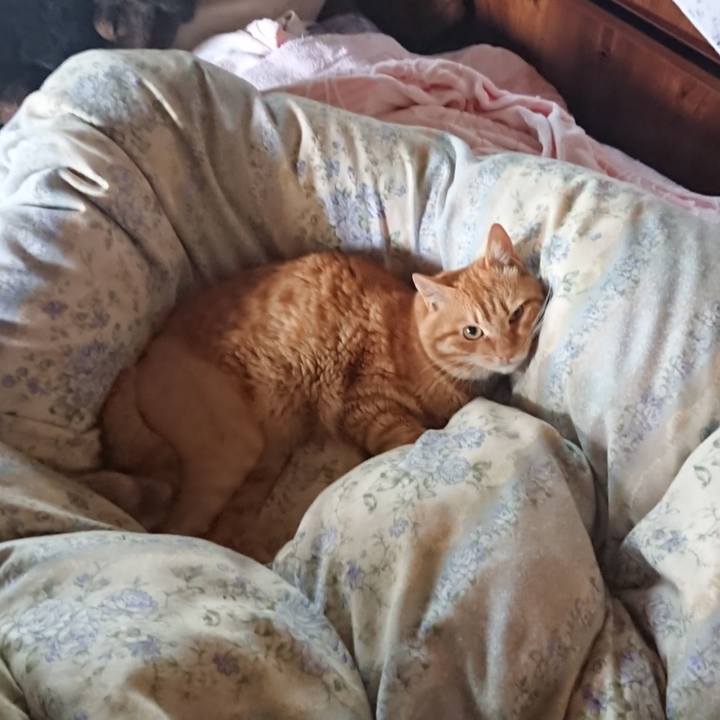 C28370d9 53f0 42ff b5a7 beda4e96e600 1655761633228