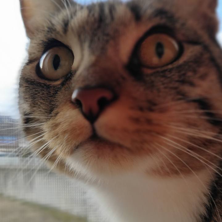 C2837287 4d01 411c bc53 d2ffcf1b2f85 1677282263272