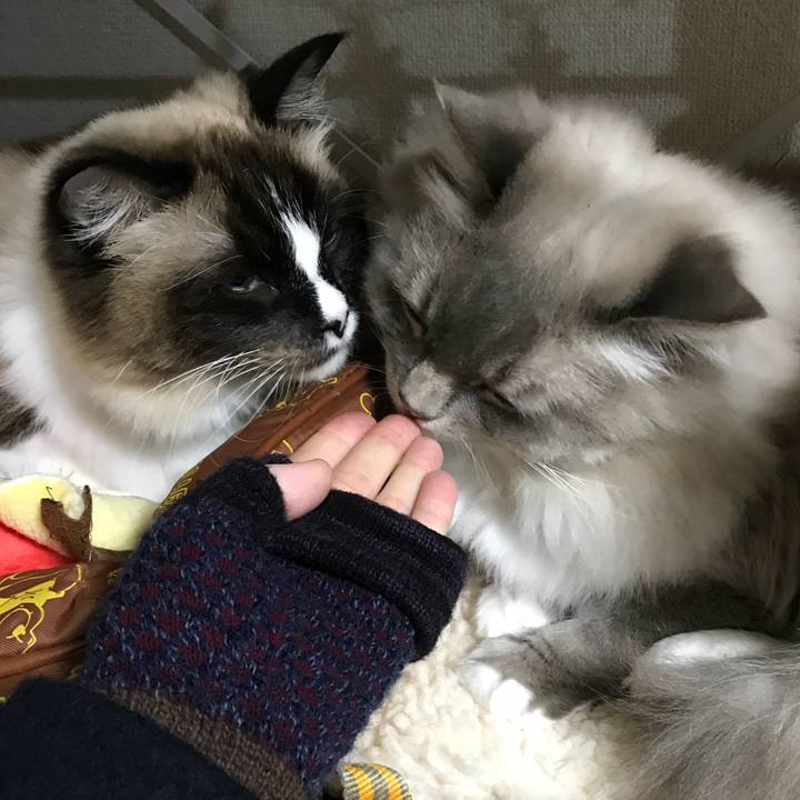 C283a1da 5346 4650 89d6 9ac1cae22f45 1515921186105