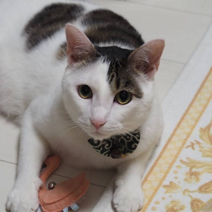 C283a3f9 64a6 4810 84e5 a7a87fd4c8ca 1533990721014