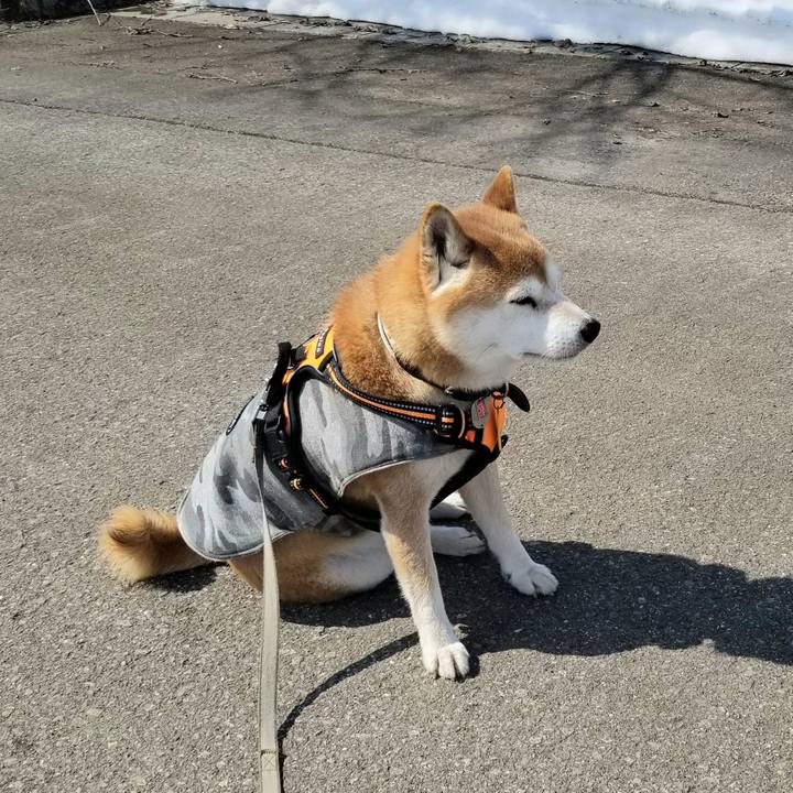 C283ccec 6478 4548 bfce 6353eaf8ded4 1615257795165